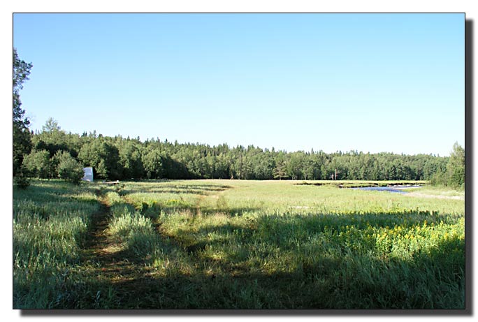 The Campground at Sunchild