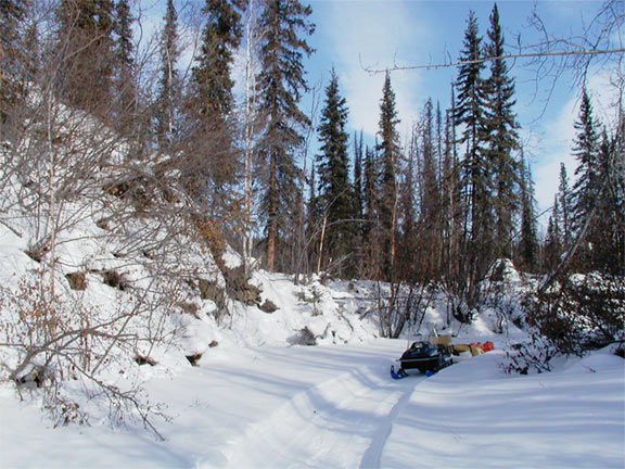Trail on Creek
