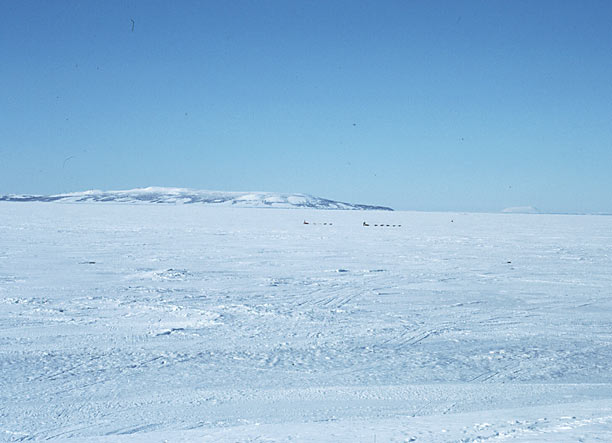 Two mushers on tundra.